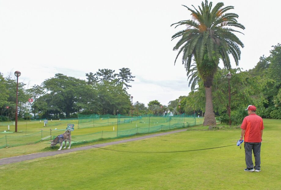 【真鶴町・お林展望公園】一般公園化で活用模索へ　暫定でパークゴルフ場も継続