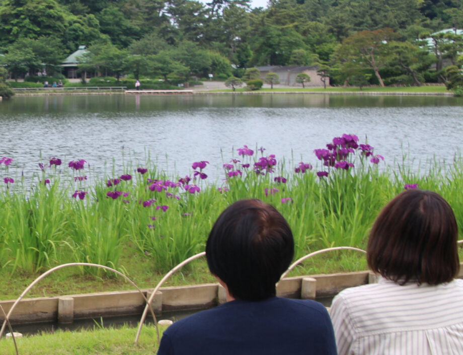 横浜市中区・三溪園で「花しょうぶ展」2025年６月５日から８日まで