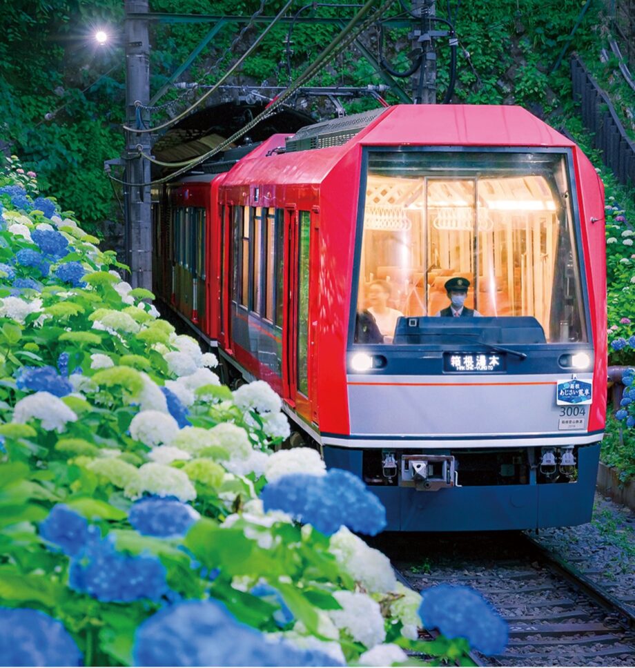 【箱根登山電車】箱根の初夏の風物詩！2025年も6月14日(土)～30日(月)まで「夜のあじさい号」運行