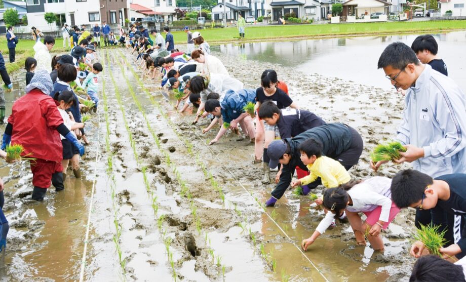 〈開成町と真鶴町の児童交流１０周年〉真鶴町の児童が開成町金井島の田んぼで田植えを体験