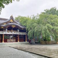 座間市の「鈴鹿明神社」で長嶋茂雄氏の桜、今もなお青々伸びる
