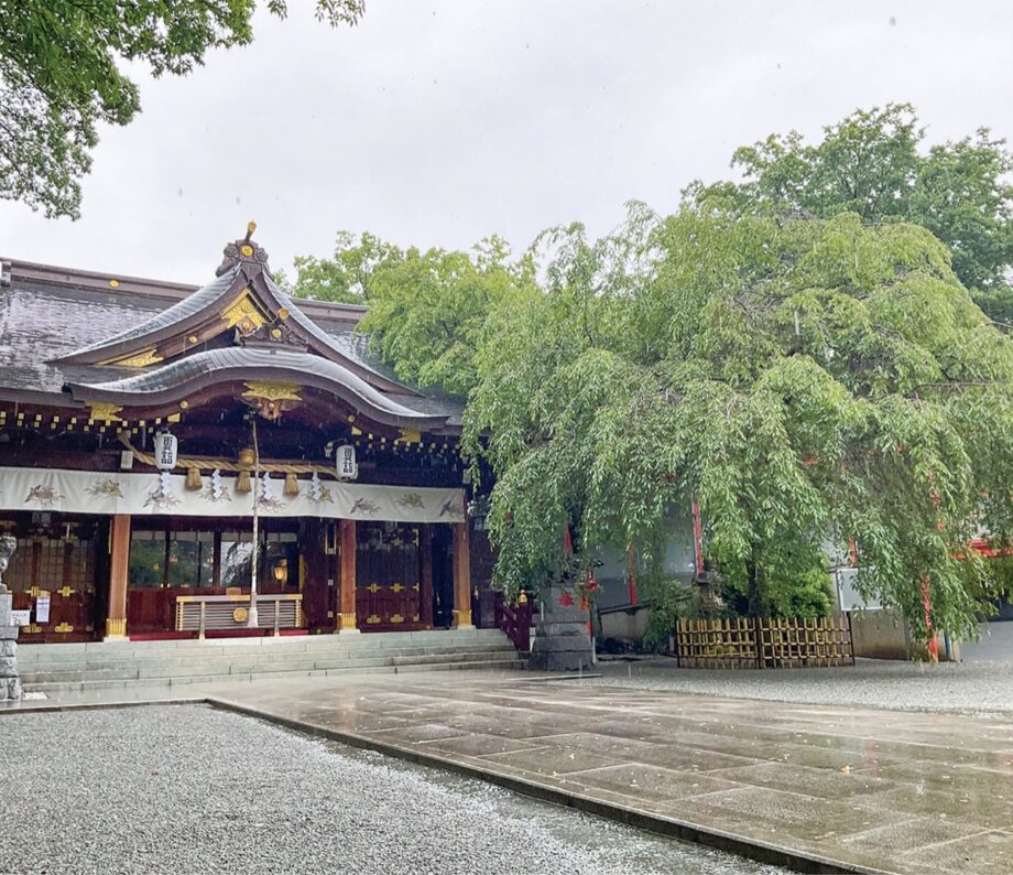 座間市の「鈴鹿明神社」で長嶋茂雄氏の桜、今もなお青々伸びる