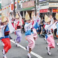 神奈川大和阿波おどり 2025年で49回目の開催 （大和駅周辺）７月26・27日　
