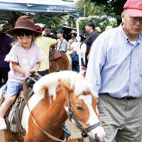 【横浜市港北区】参加無料 綱島公園に「移動動物園」 6月21日開催