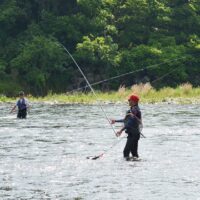 相模川水系での鮎釣りが2025年６月１日に解禁