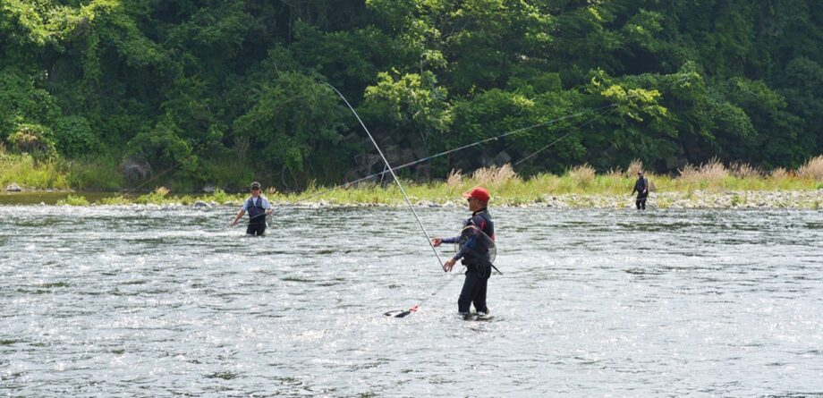 相模川水系での鮎釣りが2025年６月１日に解禁