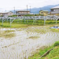 開成町で営農型太陽光発電所「開成あじさいの里ソーラーシェアリング」を設置