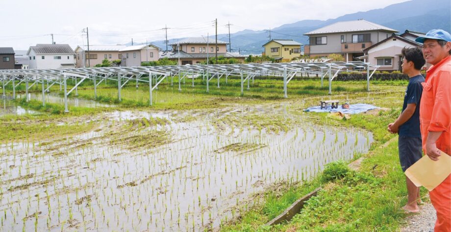 開成町で営農型太陽光発電所「開成あじさいの里ソーラーシェアリング」を設置
