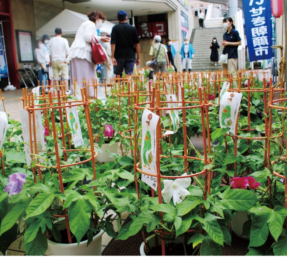 聖蹟桜ヶ丘の初夏の風物詩「第43回ふるさと多摩夏まつり」が聖蹟桜ヶ丘駅周辺（多摩市）で開催