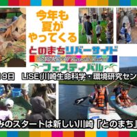 とのまちリバーサイドフェスティバル