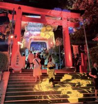 幻想的な”光の絵巻” ＜2025江の島灯籠＞大小１千基【2025年7月19日～8月31日】（藤沢市）