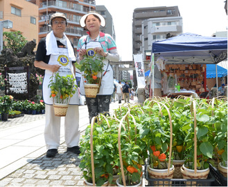 横浜市の鶴見神社で｢ほおずき市｣　７月12日　ミニバザーなども