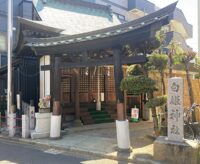 三ツ境で白姫まつり 屋台やキッチンカーなど多数出店・和太鼓やダンスなども！＠横浜市瀬谷区三ツ境　白姫神社