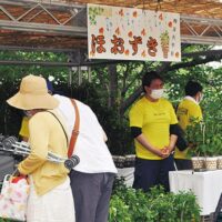 横浜市戸塚区の妙法寺「チャリティーほおずき市」花の販売・かき氷や焼きそばの販売・ミニバザーや地域作業所の出店など