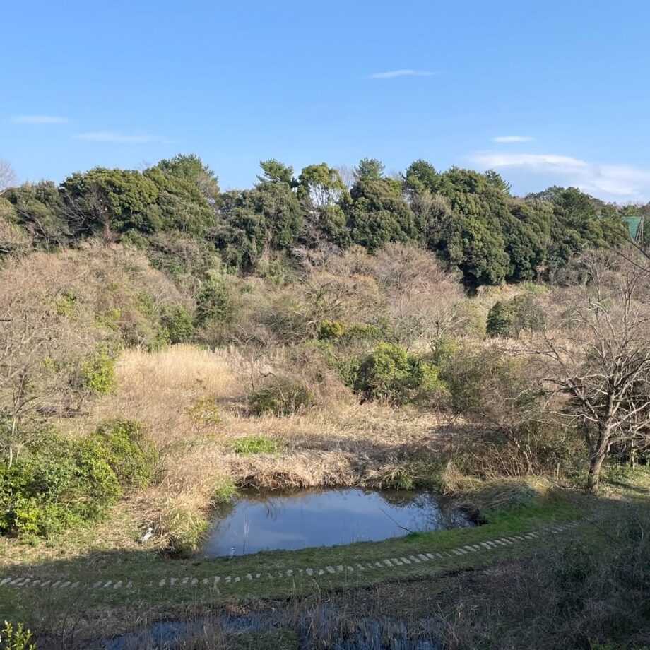 藤沢市湘南大庭地区をゆったり歩く　ライフタウン公園めぐりコース