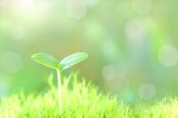 7月19日　昆虫と植物の観察会（みやがせミーヤ館）＠宮ヶ瀬湖畔園地