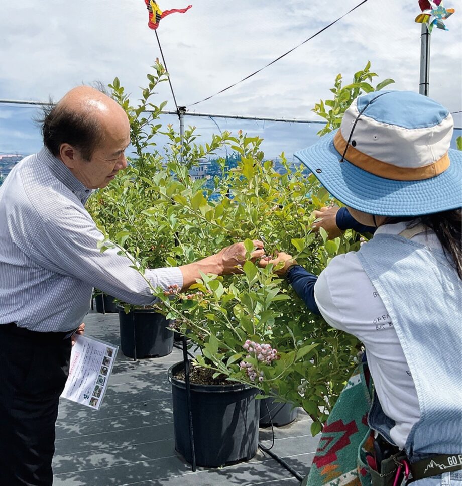 夏の思い出作りに！寒川町初のブルーベリー農園開園＜2025年7月14日＞