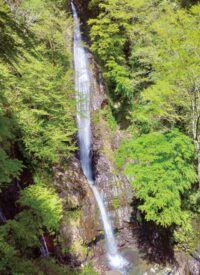 〈７月２７日(日)〉山北町で恒例の「洒水の滝祭り」厄除け祈願の火祭りや奉納太鼓などで盛り上がる