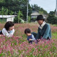 「藍」が深みのある彩り豊かな人生に—〈藍染工房Saiai Studio・佐野太紀さんの茅ヶ崎暮らし〉