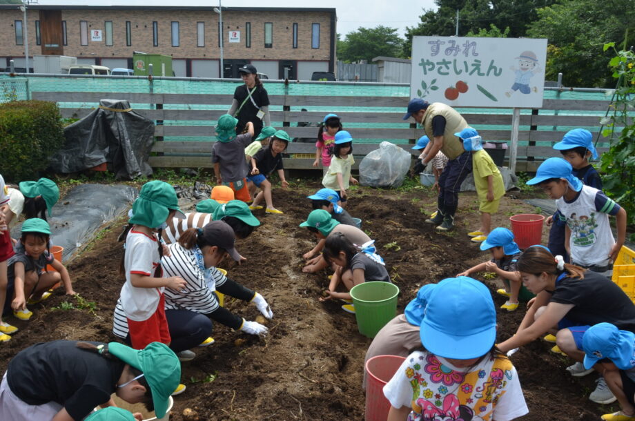 町田すみれ幼稚園：畑で野菜収穫も！「本物に触れる」直接体験で育む生きる力（東京都町田市）