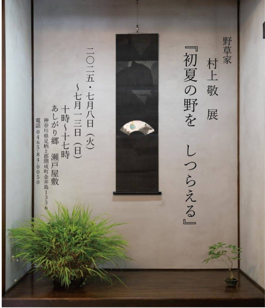 【7月8日～13日】開成町で野草家・村上敬さん（秦野市戸川在住）展示会＠あしがり郷瀬戸屋敷
