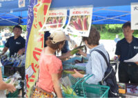 7月16日に大和地場野菜即売会　新鮮野菜がずらり＠大和市役所正面玄関前