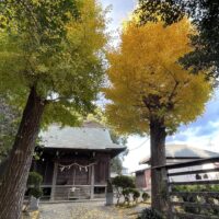藤沢市長後地区をてくてく歩く　天満宮・歴史と花のコース