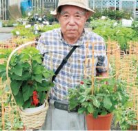 ＜初夏の恒例イベント＞横浜市泉区立場駅近く「花や館いざわ」チャリティー「朝顔・ほおずき市」2025年も開催＠　