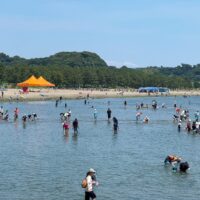 【取材レポ】シーサイドライン主催「ビーチクリーン＆潮干狩り体験会 in 海の公園2025」に参加してみた！
