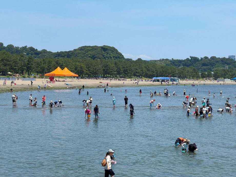 【取材レポ】シーサイドライン主催「ビーチクリーン＆潮干狩り体験会 in 海の公園2025」に参加してみた！