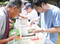 川崎市中原区の夏の風物詩～常楽寺で「かわさき鈴虫祭り」【８月24日】2025年も８千匹を無料配布