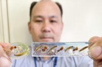 大和市で｢つながる｣テーマに給食展 　地元農家も参加＜2025年8月2日＞