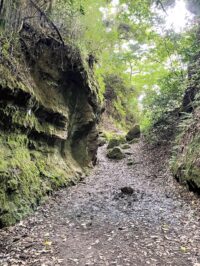 日本遺産＜大仏切通＞歴史ある鎌倉ならではの史跡を、夏の散策に歩いてみては！