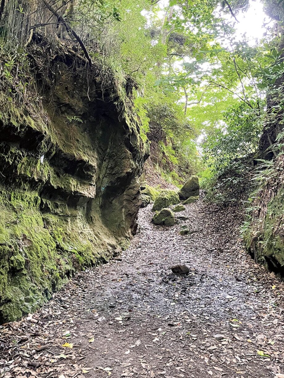 日本遺産＜大仏切通＞歴史ある鎌倉ならではの史跡を、夏の散策に歩いてみては！