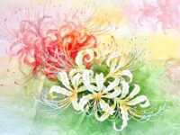 ８月更新【タウンニュース連載『花色のパレット』描き方も公開！】水彩画講師・岡田ゆきおさんが紡ぐアートの世界
