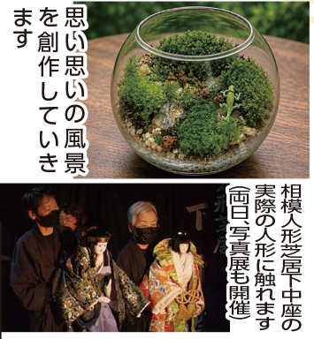 苔テラリウムづくりと相模人形芝居下中座の体験講座/皆春荘【お店体験!!おだわらシルミル】
