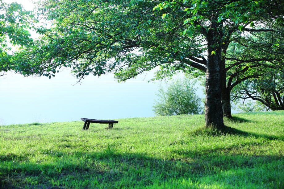 【横須賀市】終活講演会「死にがい」を考えるー11月16日・入場無料ー