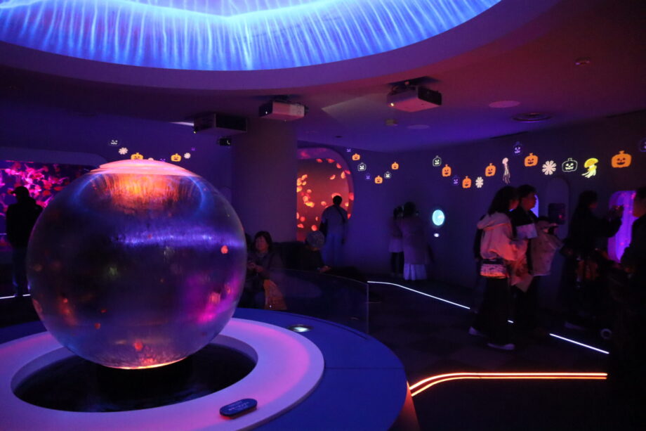 ハロウィンな“幽霊クラゲ”もお出迎え!ユーミーらいふグループが夜の新江ノ島水族館で「お客さま感謝祭2025」