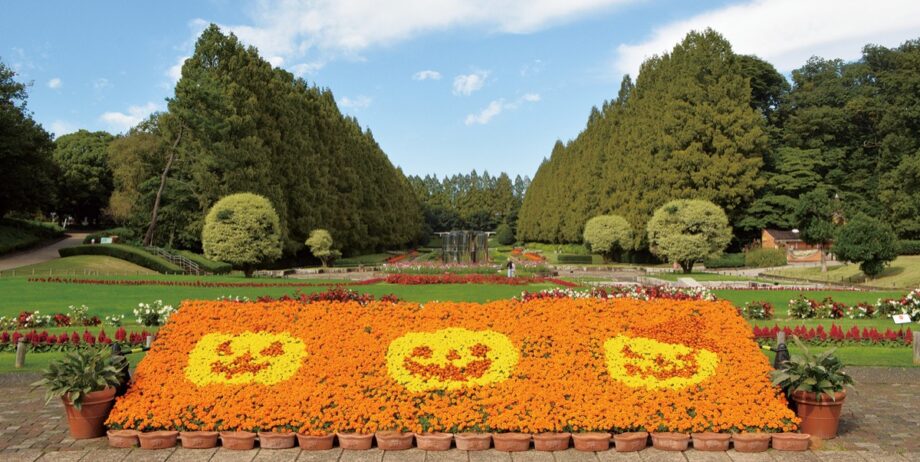 相模原市南区相模原公園の花壇がハロウィン仕様に染まる