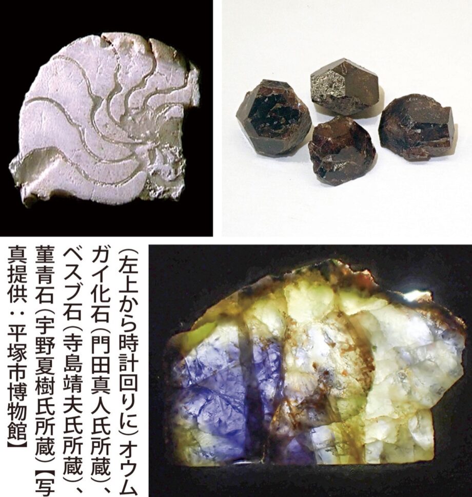 《10月25日から》平塚市博物館で特別展!「丹沢のスゴい石」鑑賞しませんか?