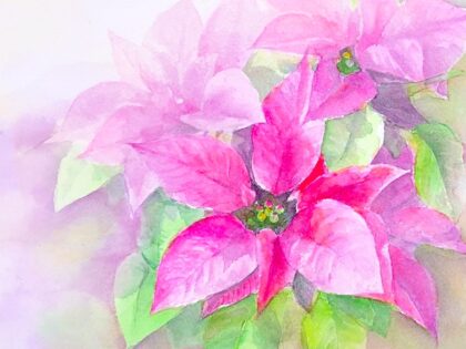 12月更新【タウンニュース連載『花色のパレット』描き方も公開