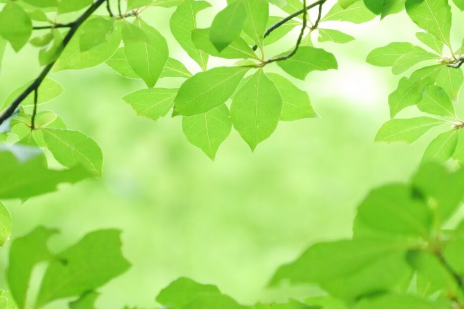 【横浜市都筑区】年の瀬に開運願う?正覚寺で「酉の市」開催(11月24日)