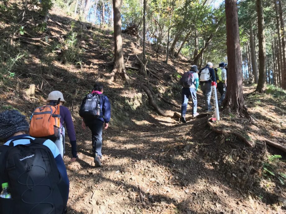 秦野市山岳協会と行く秋の紅葉登山―イオリ峠から高取山、そして聖峰を経て鶴巻温泉へ―