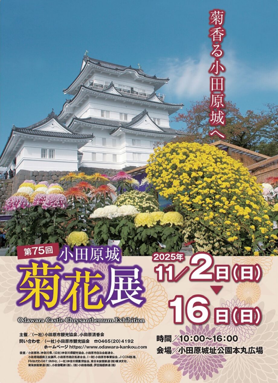 〈11月16日(日)まで〉秋空に香る「小田原城菊花展」多彩な形状の菊約500点を展示