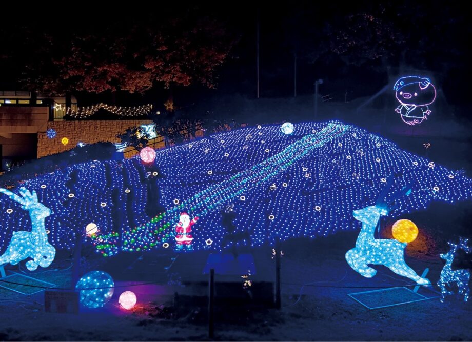 クリスマス彩るイルミネーション 2025年も厚木市ぼうさいの丘公園で開催中