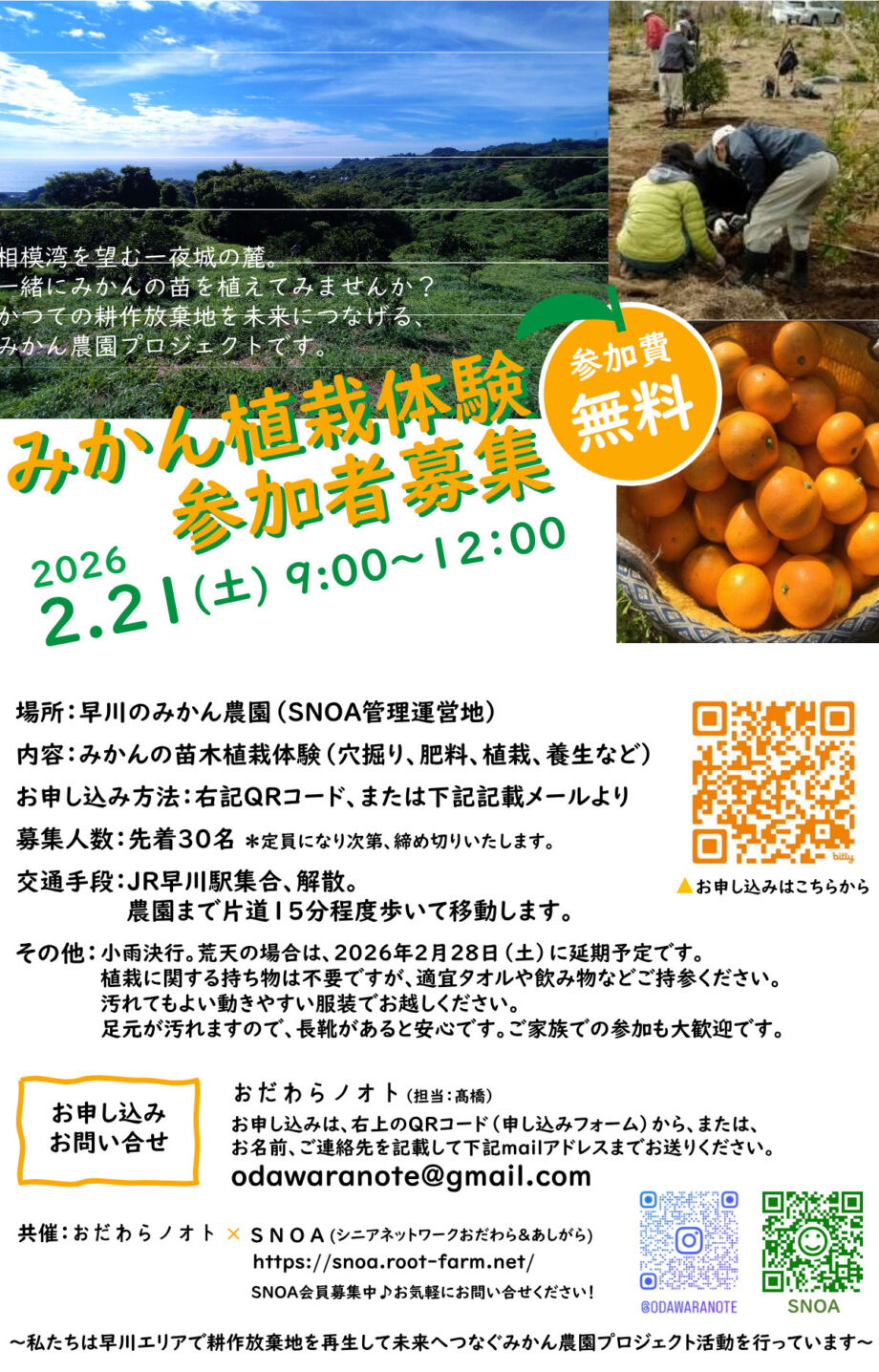 参加者募集「みかん植栽体験」＠小田原市