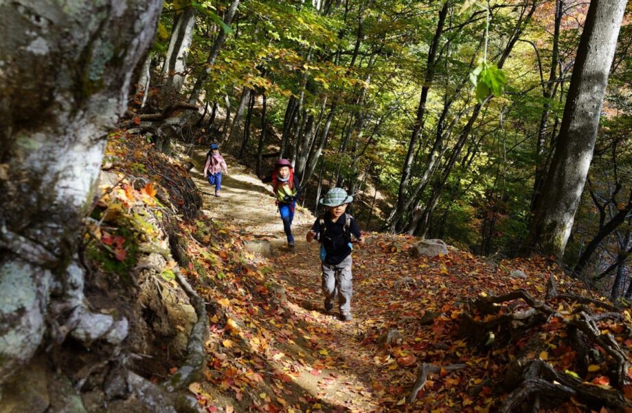 【鎌倉・親子】おやこ山歩き　子供と一緒に山を歩こう！
