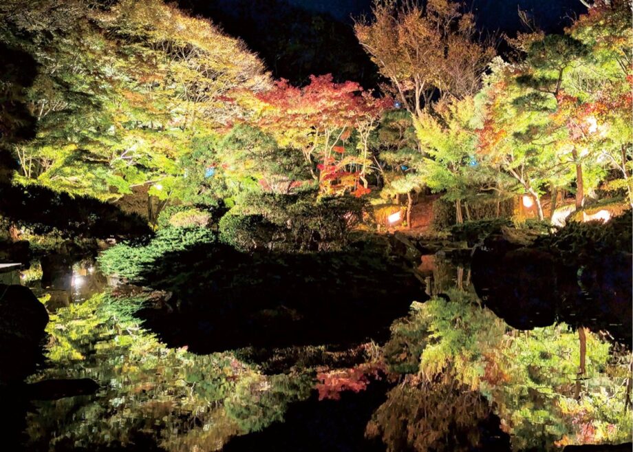 もみじのライトアップ《11月28日(金)～30日(日)まで》＠大磯城山公園