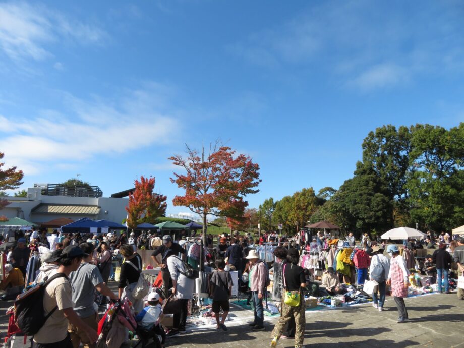 【11月16日開催】「秋の深まりと実りを体感しよう！」秋の里山公園まつり