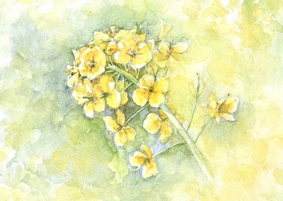 1月更新【タウンニュース連載『花色のパレット』描き方も公開!】水彩画講師・岡田ゆきおさんが紡ぐアートの世界